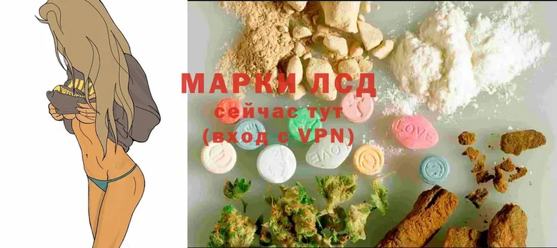 как найти закладки  Вольск  ЛСД экстази ecstasy 